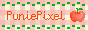 PuniePixel